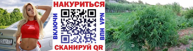 Купить наркотики Сурск ГАШИШ  Бошки Шишки  КОКАИН  Меф 