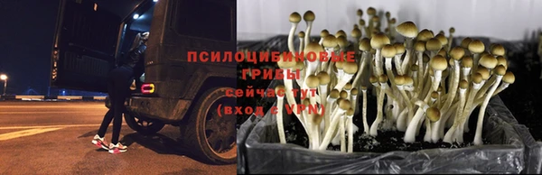 COCAINE Абдулино