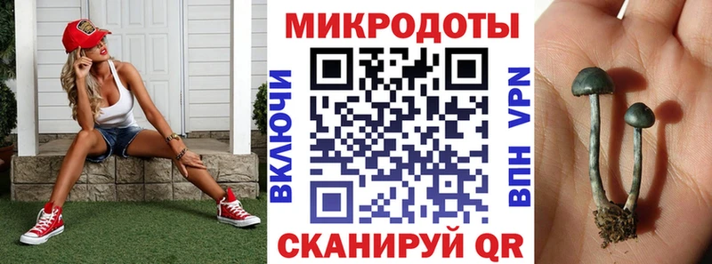 где купить наркотик  Сурск  мега рабочий сайт  Галлюциногенные грибы GOLDEN TEACHER 